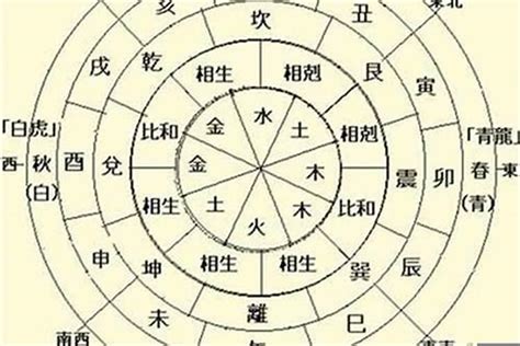 日柱 日主|日主（中国四柱命理专用术语）